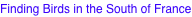 shapeimage_9_link_19