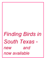 


Finding Birds in South Texas -new book and DVD now available